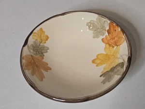 Vintage Franziskaner Oktober USA Herbstblätter: Müsli Suppe Schüssel Herbst 7"  - Bild 1 von 6