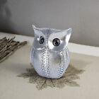 Lucky Owl Resin Art Figurine Silver Modern Classy Showpiece Home Decor