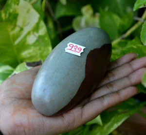 4" inch Special Shiva lingam is a symbol made from a sacred Hindu stone ~939 - Picture 1 of 4