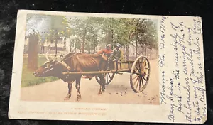 Postkarte 1902 "A Horseless Carriage" Detroit Photographic Co. Black History - Bild 1 von 3