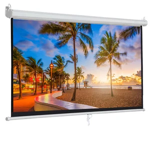Manual Pull Down Projector Projection Screen Home Theater Movie 100 Inch 16:9 - Picture 1 of 7