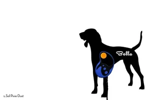 American English Coonhound - Nombre Personalizado Portacorrea para Perro - Gancho de Pared - Imagen 1 de 3
