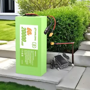60V 20AH Battery Electric Lithium Battery for 0-2000W Electric Bicycles Battery - Picture 1 of 9