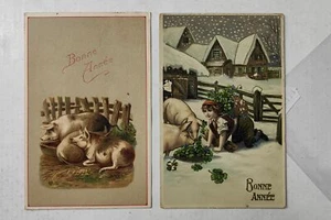 SCHWEIN MAIALE - BONNE ANNE - LOT 2 POSTKARTEN - C61-171 - Bild 1 von 1