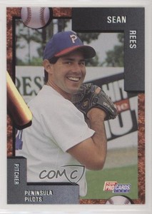1992 Fleer ProCards Minor League Sean Rees #2930