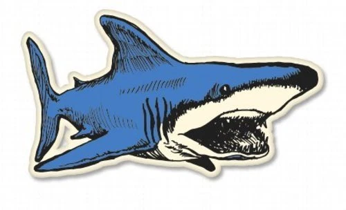 Pegatina Vinilo Coche Diseño Dibujo Tiburón - SELECCIONA TALLA Foto 1 de 1