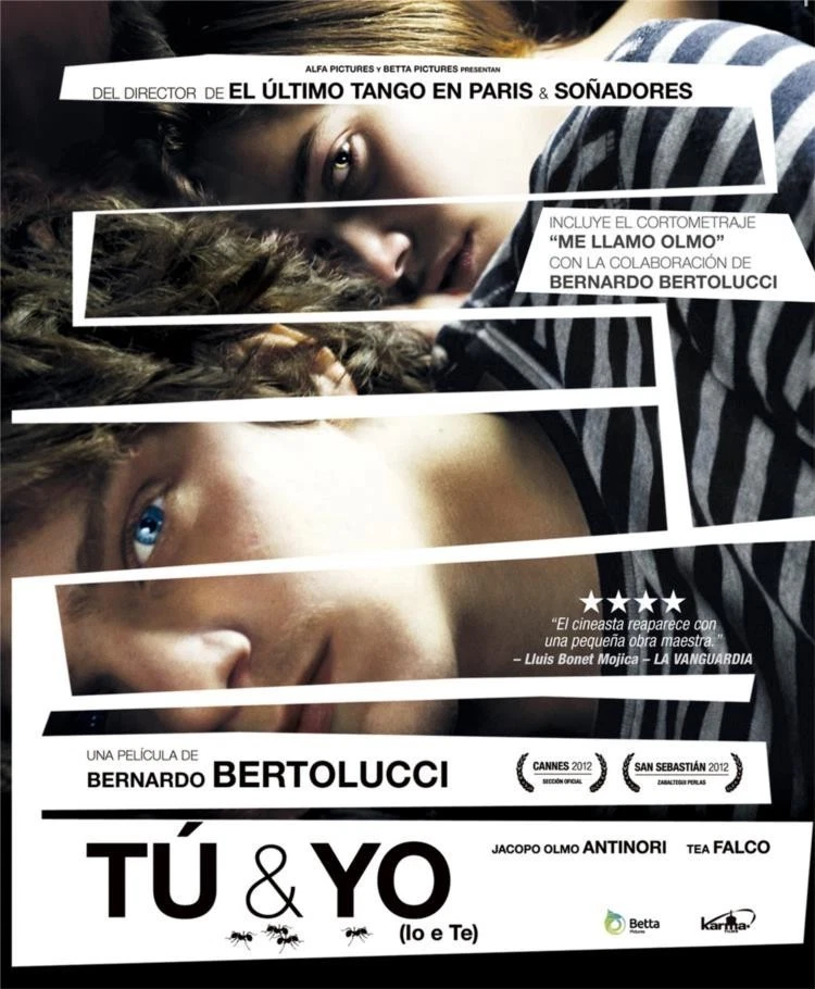 Tú y Yo (2012) (Blu-Ray) (Io E Te) - Imagen 1 de 1