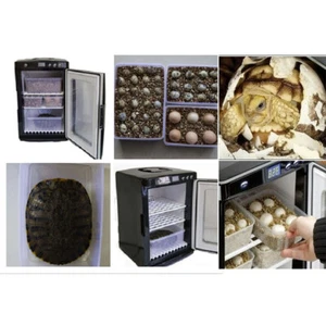 Digital Thermoelectric Incubator Reptile Egg Chameleon Lizard Incubator 110V - Picture 1 of 10