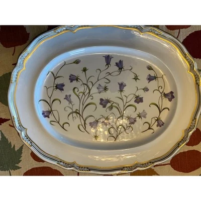 Plato de servir ovalado Spode Campanula Y8283-F de colección 13" hueso fino porcelana adorno dorado Foto 1 de 3