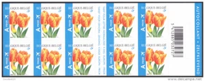 Belgium**TULIP "DARWIN GUDOSHNIK" FLOWERS-Booklet 10 s/a-FLEURS-BLUME-BLOEM-MNH - Picture 1 of 1