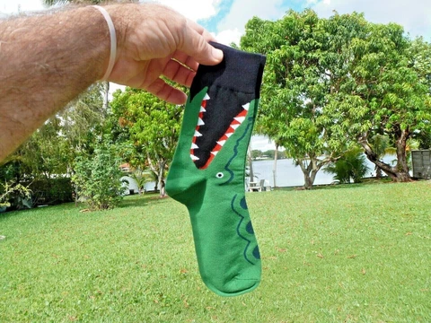 Gator Socks Novelty Unisex Small to Medium Cover
