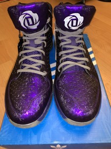 derrick rose purple shoes