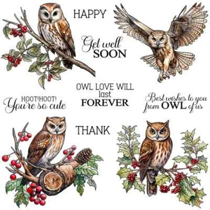 Lindas estampillas transparentes de Winter Owls Hoot Hoot You're so Owl Love Will Last Forever - Imagen 1 de 5