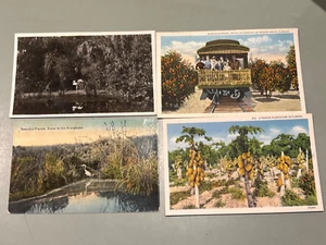 c.1920 69 Florida postcards orange groves alligators black Americana flowers - Picture 1 of 5