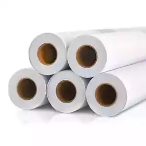 large format Matte Polyester Canvas printing Roll 24" Inch x 30m - Picture 1 of 2