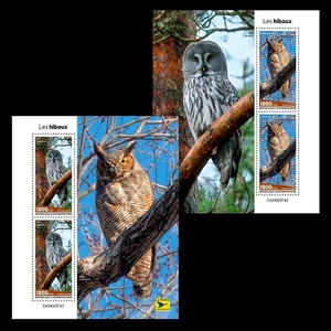 Owls MNH Stamps 2024 Central African 2 M/S - Picture 1 of 3