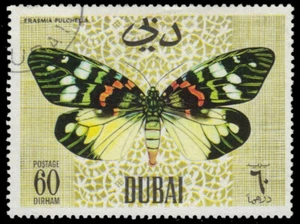 DUBAI Mi296 - Butterflies "Erasmia pulchella" (pa36805) - Picture 1 of 1