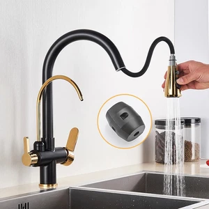 Schwarz und Gold gefilterter Kran für Küche herausziehbare Sprüher Trinkwasserhahn - Bild 1 von 28