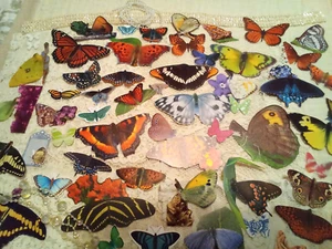 Junk Journal Supplies, 122 pc. Butterflies - Picture 1 of 4