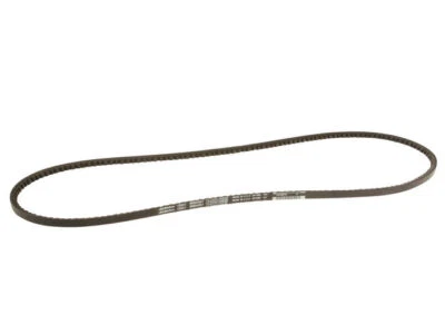 Bomba de aire de correa multi costilla para Dodge D250 1991-1992 AC Delco 24459JMBP dorada -- solo Foto 1 de 2