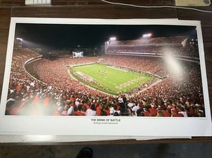Georgia Bulldogs Football Sanford Stadium Poster/Print Panoramic Unframed - Picture 1 of 11