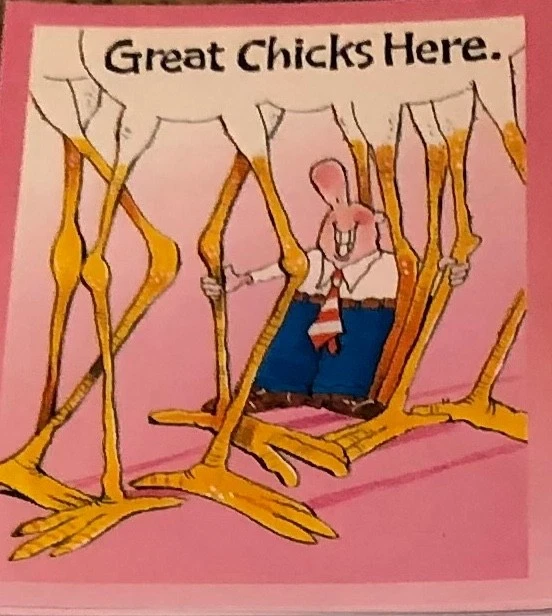 Postales - 12 Tarjetas - Cigüeña - GREAT CHICKS AQUÍ Foto 1 de 1