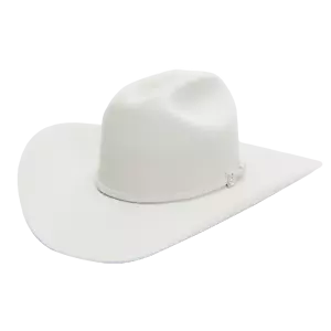 Stetson Skyline 6X Silver Grey Cowboy Felt Hat SFSKYL-754088 - Picture 1 of 24