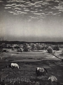 1959/72 ANDRE KERTESZ Vintage MOUNT KISCO New York Horse Landscape Photo Art - Picture 1 of 1