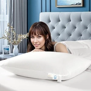 Lianlam Luxus weißes Gänsedaunenkissen - Queen Size - Bild 1 von 14