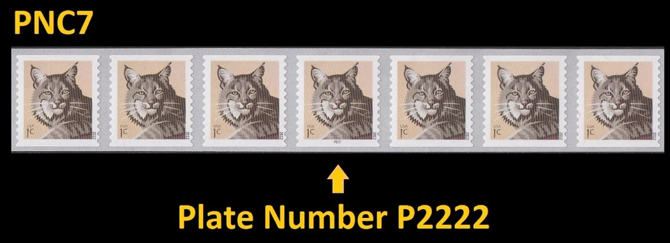 US 4672 Bobcat 1c PNC7 P2222 MNH 2012 - Image 1 of 1