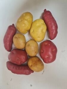 10 X Artificial fake Fruit/vegetables potatoes Lifelike  props  rrp $4.95 each