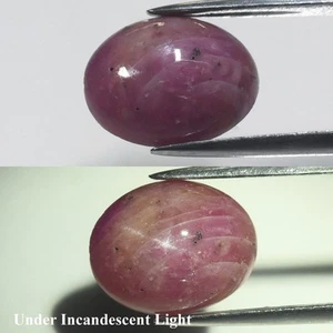 💎 4,25ct Oval Lila Rot 6 Strahlen Stern Rubin - Beheizte Glasfüllung Afrika Edelstein - Bild 1 von 6