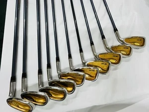 Juego de 10 piezas de hierro HONMA TM-503 Twin Marks PM1000 5 estrellas carbono S 131806 - Imagen 1 de 20