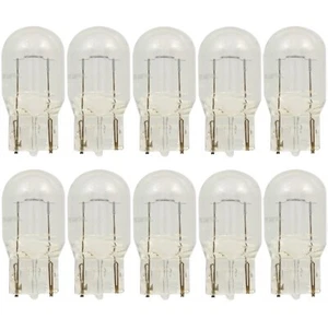 Sylvania Basic 7440 25W Ten Bulbs DRL Daytime Light Replacement Stock Lamp EO - Picture 1 of 8