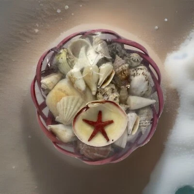 Natural Small 1.5 Lbs. Approx. 40 Assorted Aquarium Sea Shells Old & Sealed - Image 1 of 4