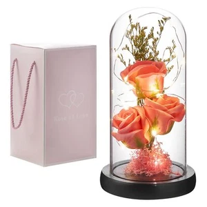 Preserved Flower Gift Light Up Rose In Glass Dome Eternal Forever Rose Flower Gi - Picture 1 of 5