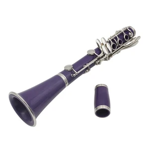 Clarinet ABS 17 Key BB Flat Soprano Binocular Clarinet With Cleaning VPAQ - Picture 1 of 13