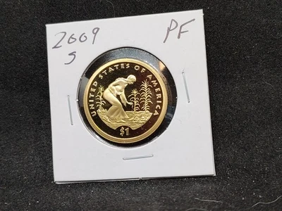 Dólar nativo americano 2009 prueba S Foto 1 de 2