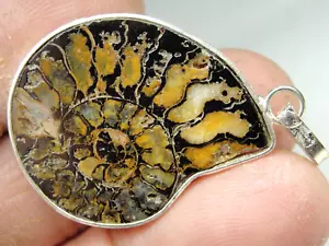 Ammonite Pyrite Fossil - 925 Sterling Silver Pendant - M-4655 - 6.73g - 33x26mm - Picture 1 of 4