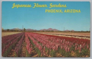 Giardini fioriti giapponesi, Phoenix Arizona, USA, cartolina d'epoca - Foto 1 di 2