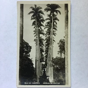 RPPC - Rio de Janeiro, Brasilien - Jardim Botanico - Echtfoto Postkarte - Bild 1 von 2