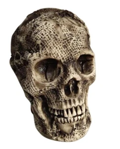 Sunstar SS61923 7 in. Burlap Skull Face - Picture 1 of 1