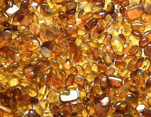 GENUINE Fossil Insect Inclusion in Burmese amber - Price per 3 pieces - Picture 1 of 12
