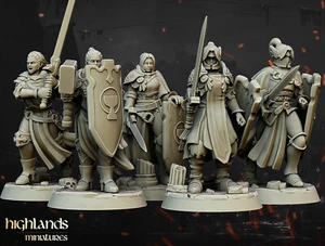 Warriors of the Lady Human Fighter Miniatura x5 | D&D DnD | - Imagen 1 de 2
