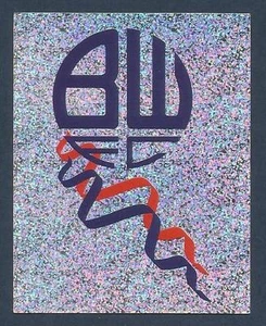MERLIN 2003-FA PREMIER LEAGUE-10TH EDITION- #115-BOLTON WANDERERS BADGE-FOIL - Foto 1 di 1