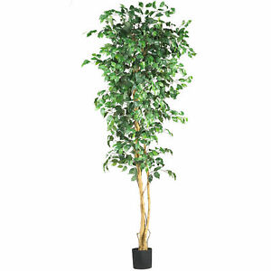 Ficus Silk Tree Realistic Plant Nearly Natural 7' Home Garden Decoration Green