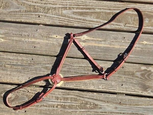 CWD Plain Raised Padded Figure-8 Caveson Noseband ~Size 2 (Cob)~NEW w/Minor Flaw - Picture 1 of 11