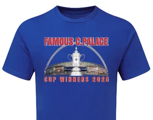 Cup Final 2025 Famous C. Palace v City Tshirt Fanmade Unoffical Merchandise FA - Bild 1 von 13