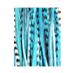 4-6 inch Blue with Turquoise 100% Real Hair 5 Feather Extensions bonded at the