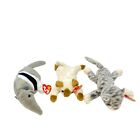 3 pcs TY Beanie Baby Plush Toy Ants The Anteater Silver The Cat and Snip The Cat